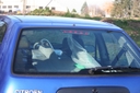 201206_008.jpg