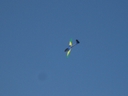 IMG_0694.jpg