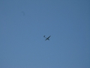 IMG_2553.jpg
